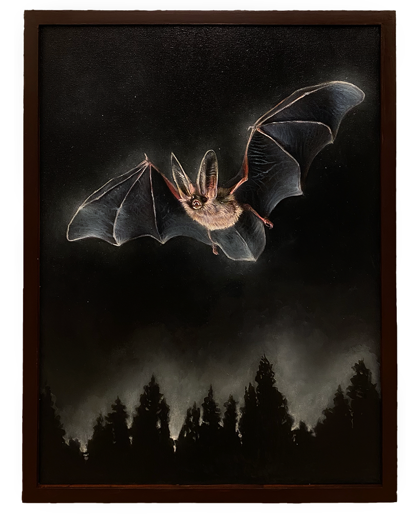 Night Flight II, 2022. Oil on canvas. 18” x 24”.