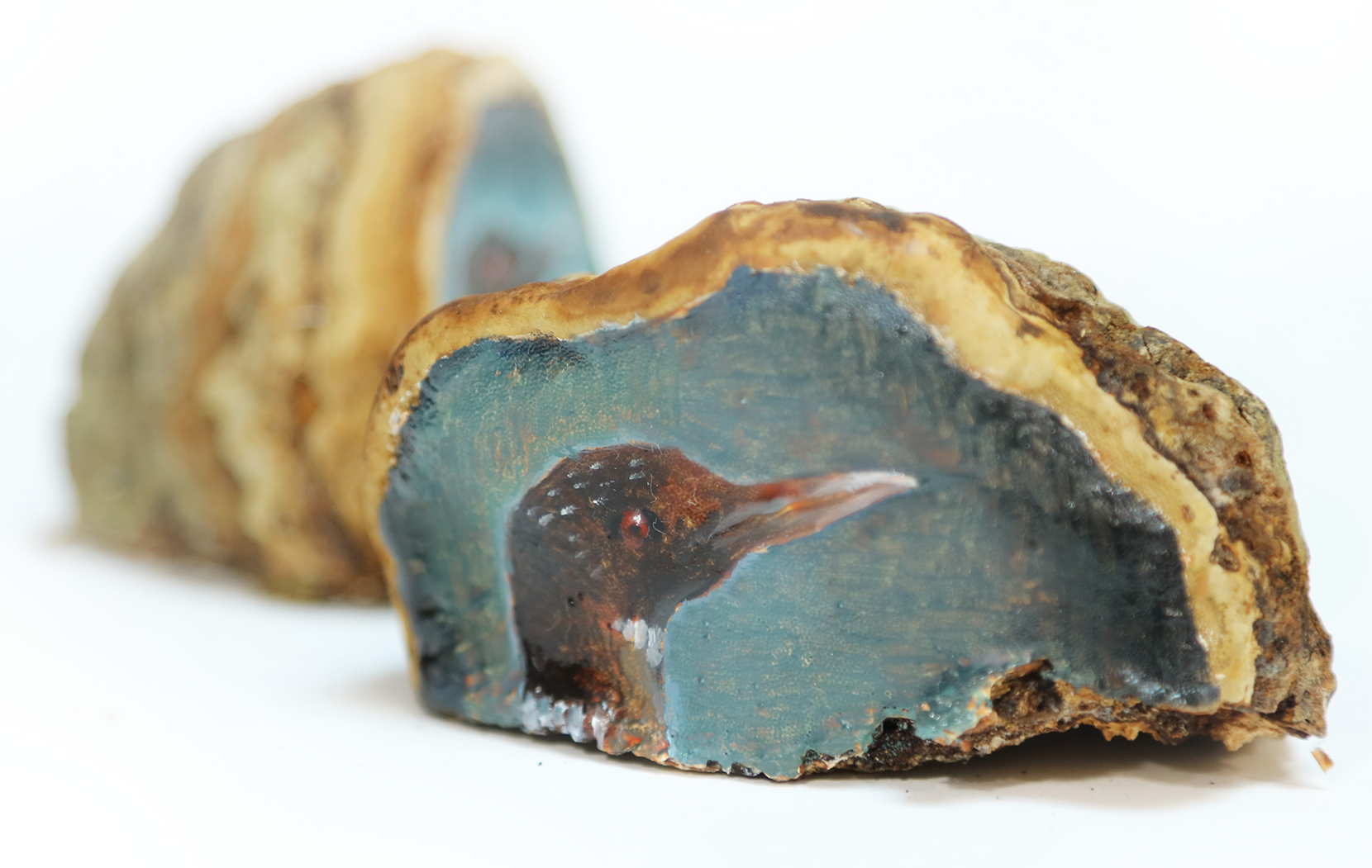 Loon, collected and dried in New Hampshire 2020, painted 2021.  Oil on hoof mushroom.  2.5"x1".