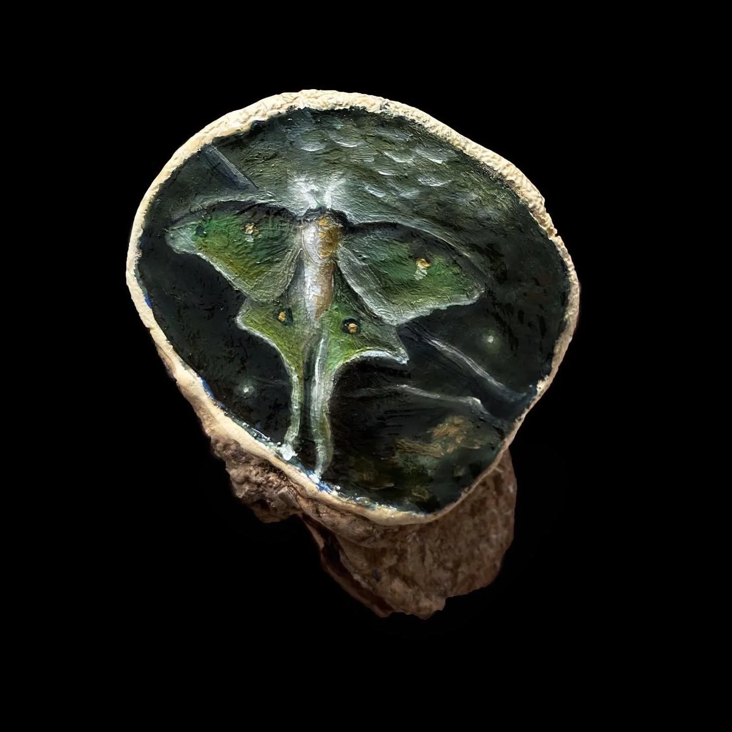 Night Flight Show, Mushroom Exhibit.  Installation photo, 2022.