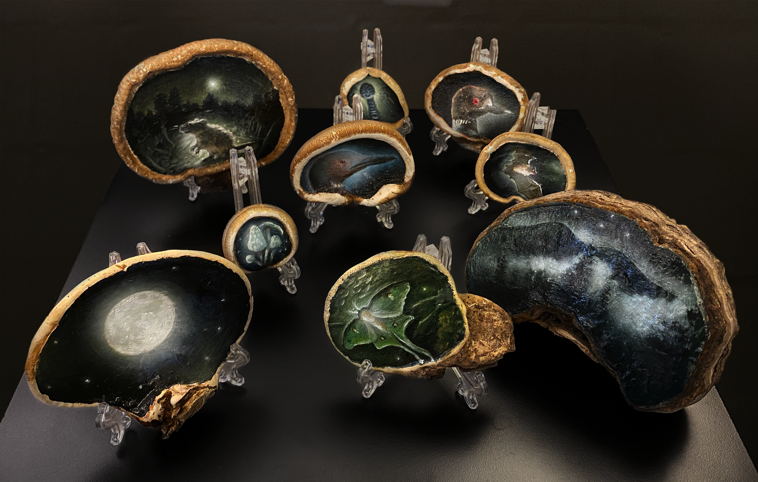 Night Flight Show, Mushroom Exhibit.  Installation photo, 2022.