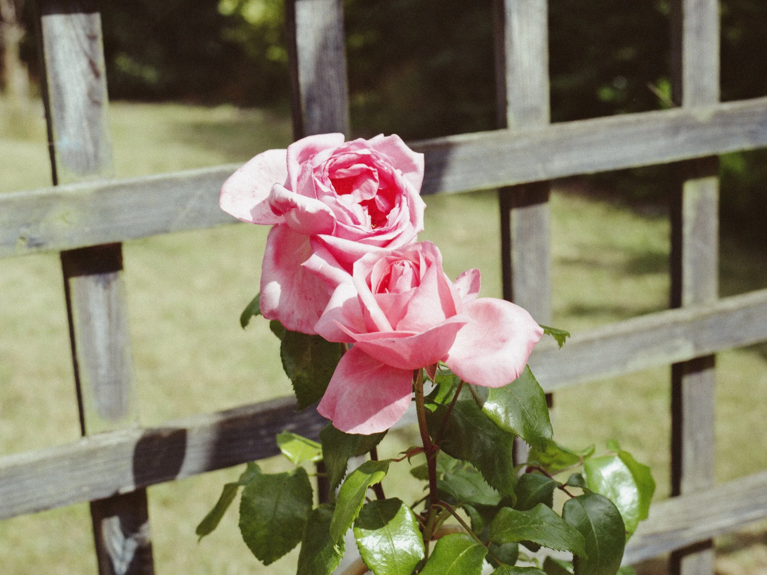 img0139.jpg