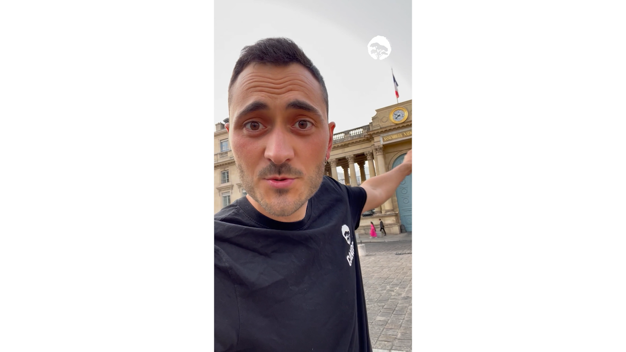 Canopée | Reel interpellation Mourioux