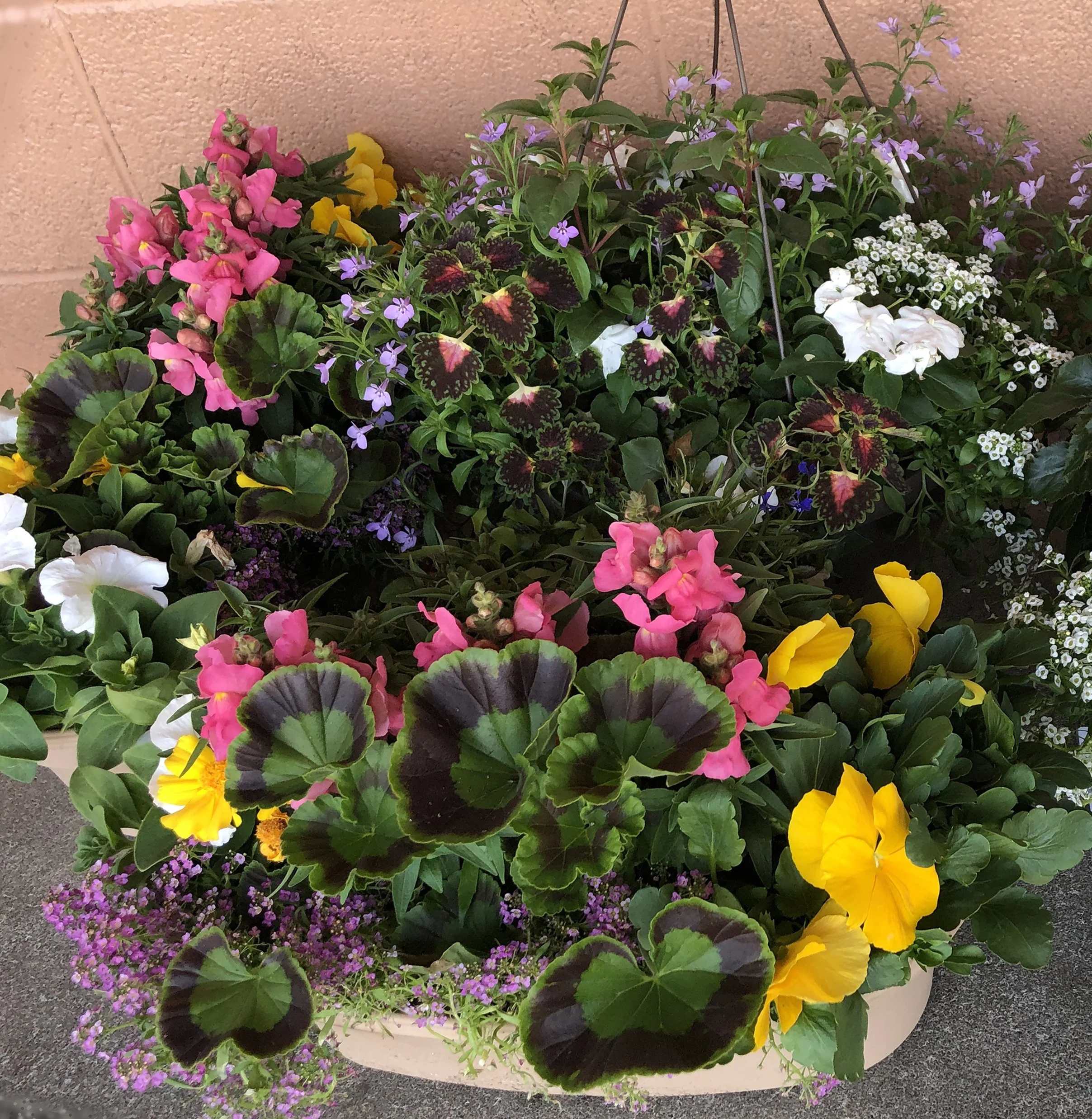 Patio Planters