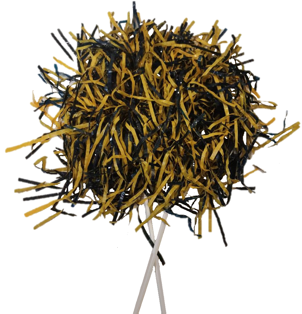 Spirit Pom Poms Holy Redeemer Catholic School