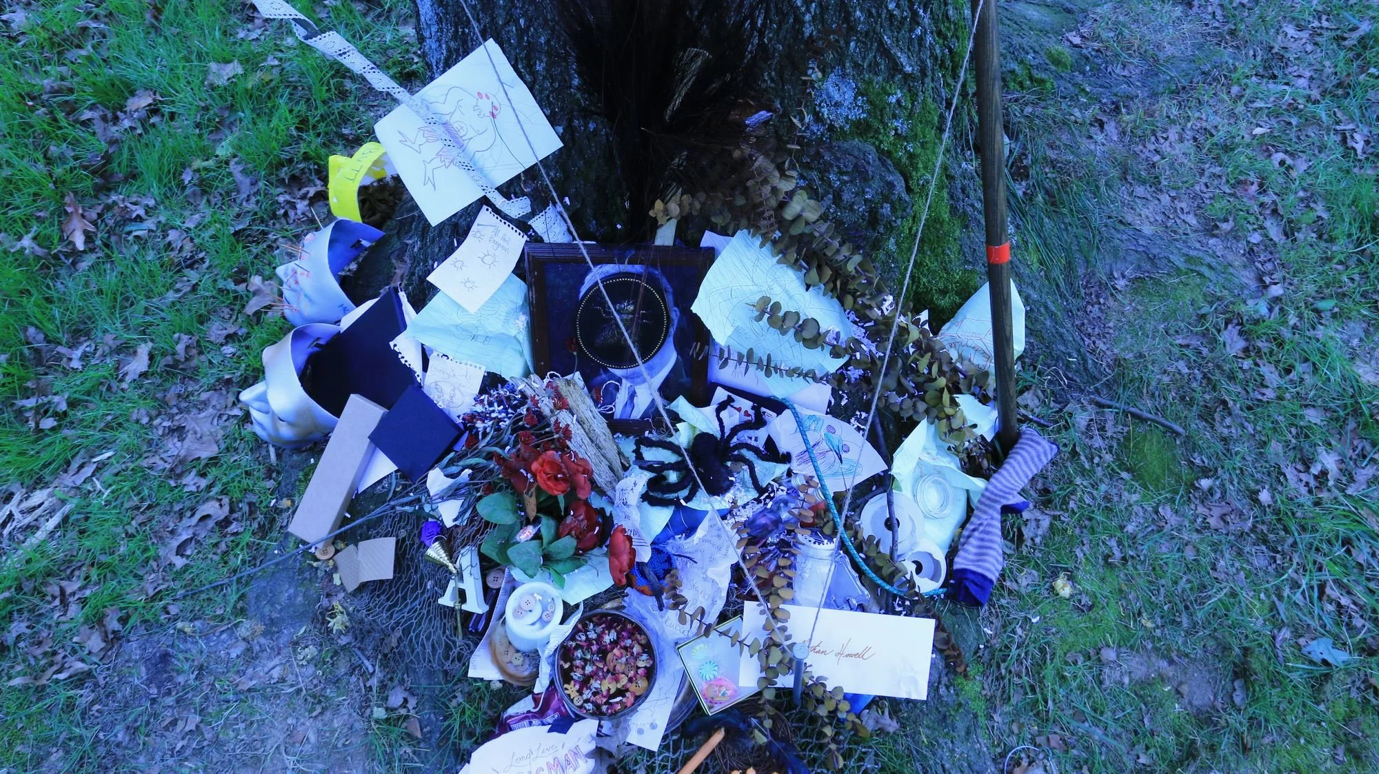 7---Offerings.jpg
