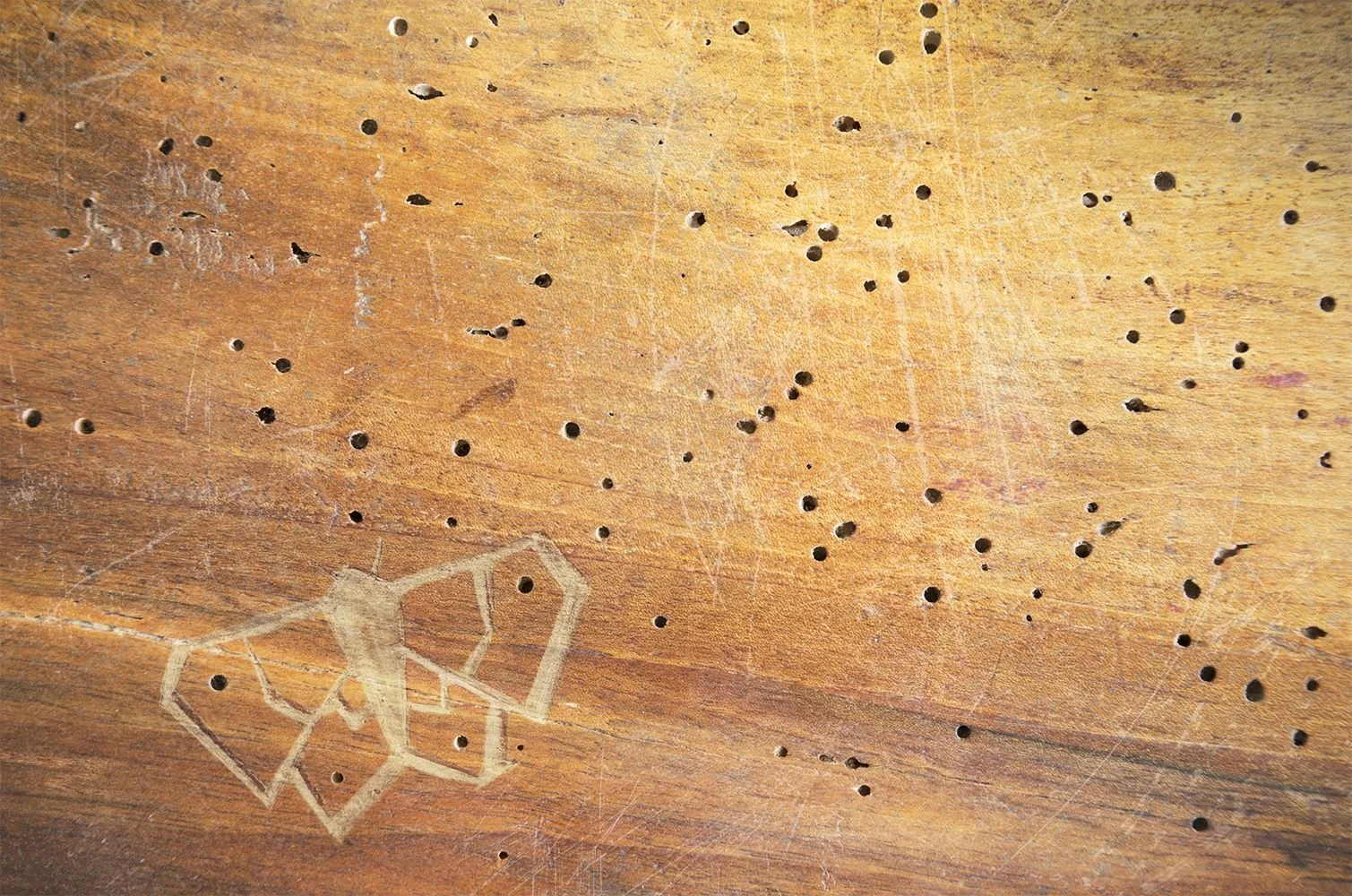 9---Bug-Carving.jpg
