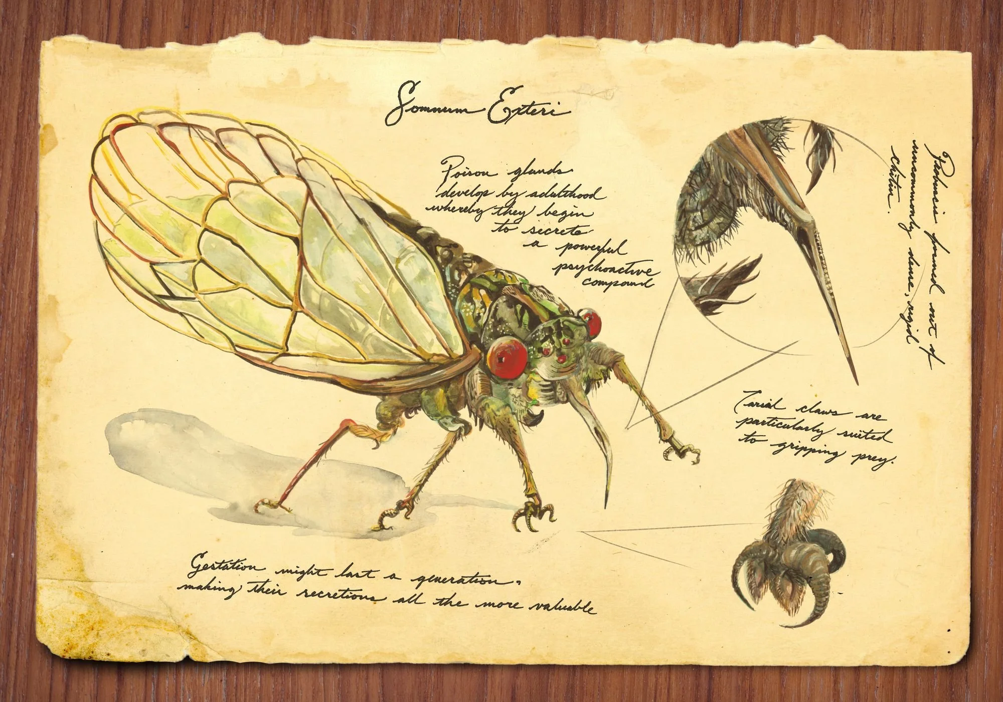3---Stewarts-Notes.jpg