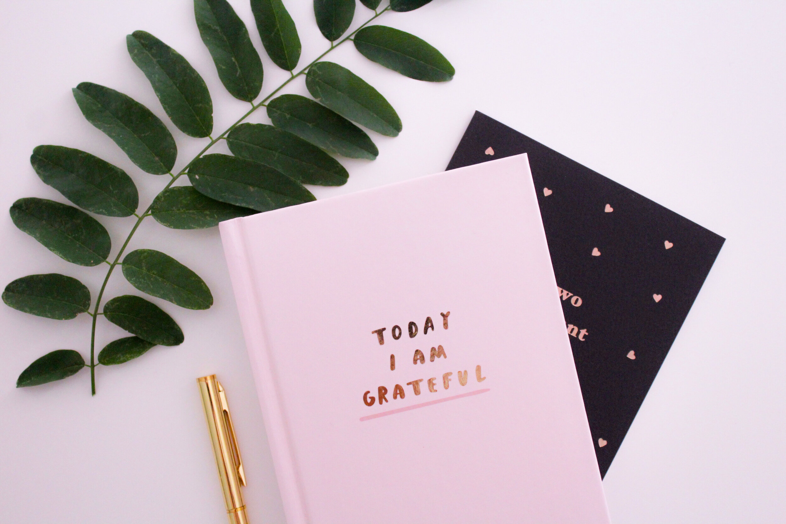 JournalCommunicateStop ComparingChoose Gratefulness - Start Today!