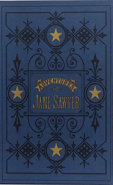 The Adventures of Jane Sawyer