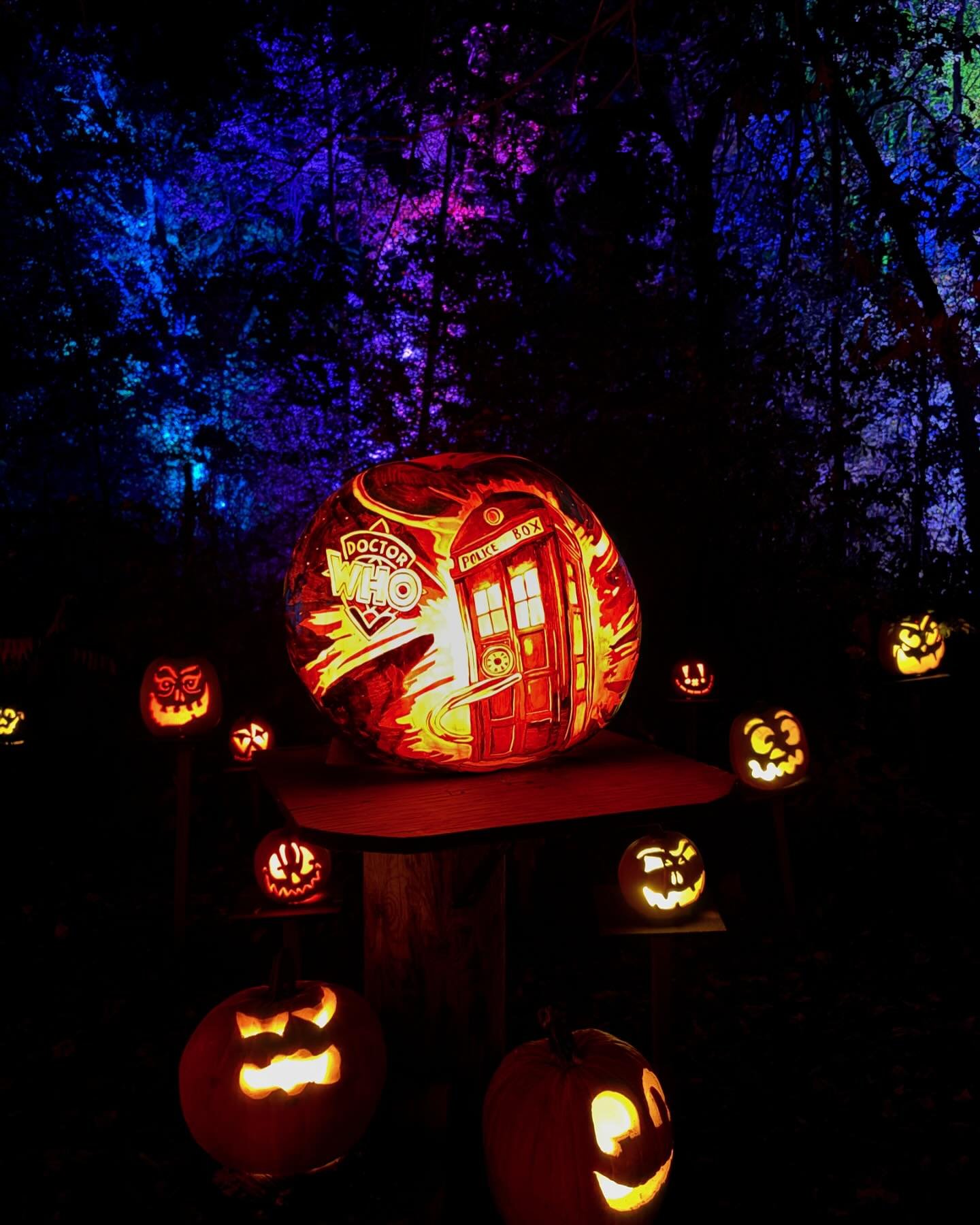 Some of my favorite pumpkins from the pumpkin walk at the MN Zoo tonight.

#pumpkinwalk #mnzoo
