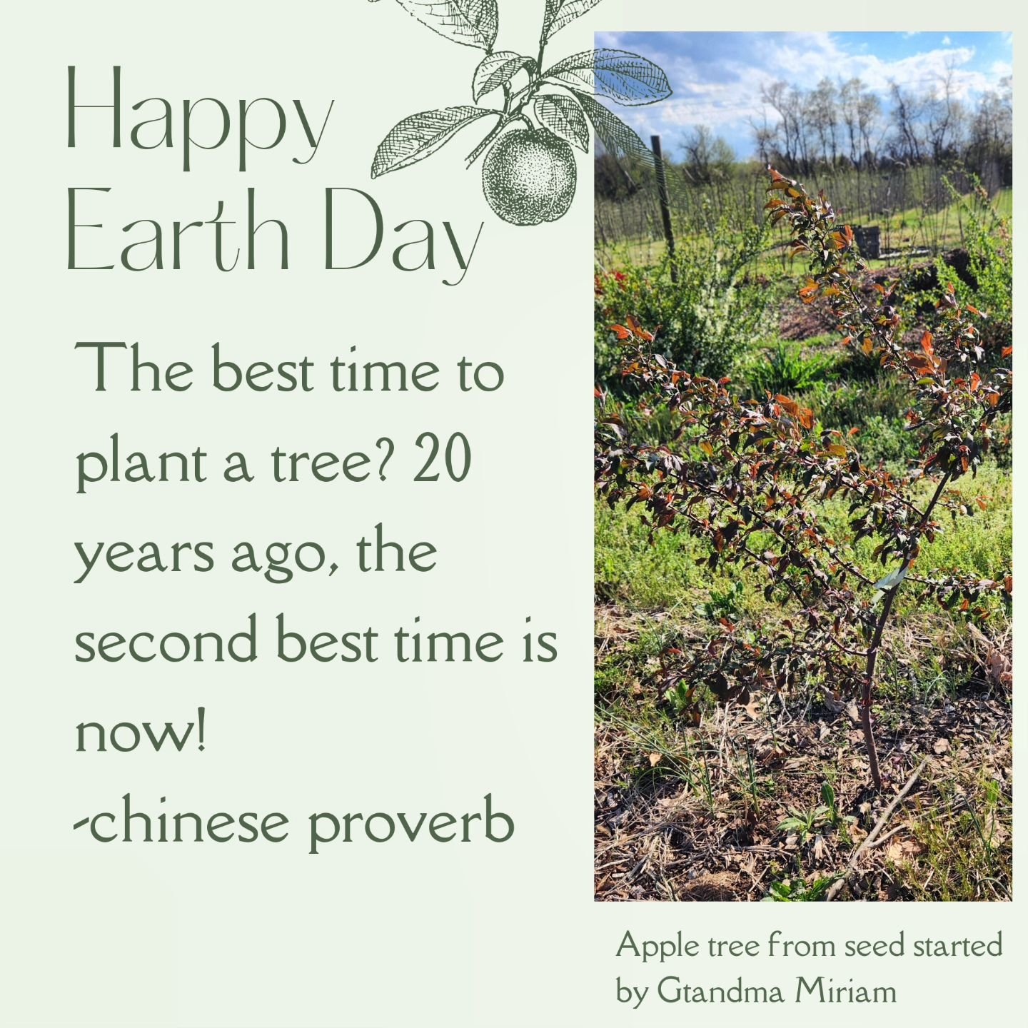 Happy earthday! 

#earthday #cidery #buckscountyfarm #tree #appletree #sustainable #earthfocus #nature #craftcider #pickcider @pickcider @visitbuckspa