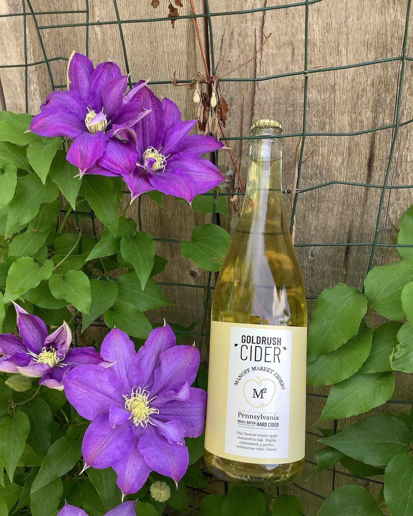 For Mother&rsquo;s Day, try our Goldrush Hard Cider in a Mimosa! OJ optional&hellip;😉🥂🌸
