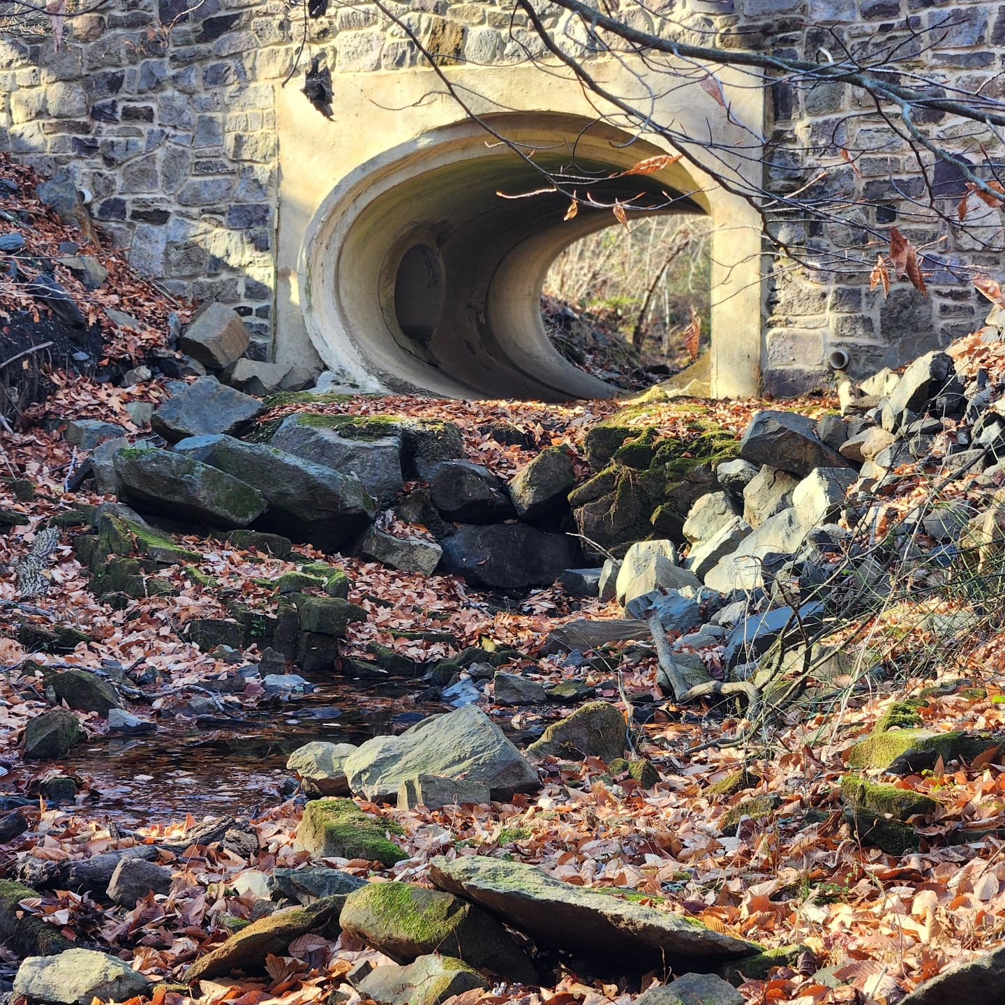 Even with the relief of rain, the creekbed by the farm is dry...

Our farm neighbor, though he wasn't here at the time, heard about the 1965 drought which severly affected the northeast from west virginia to southern new england.* in recent history b