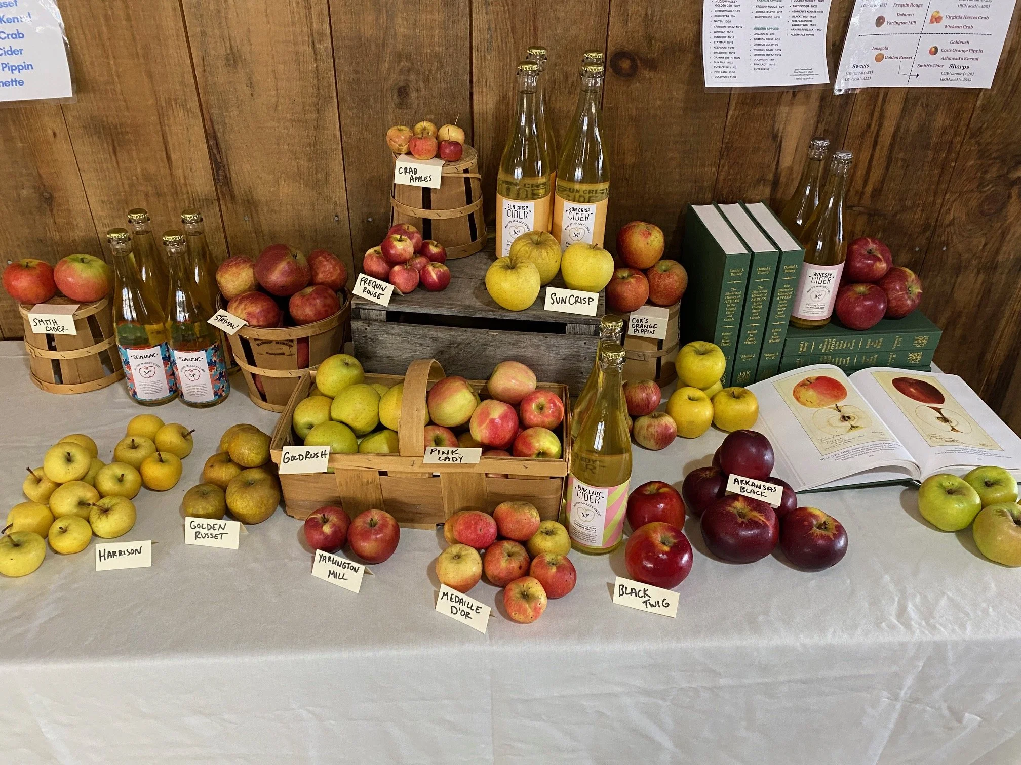Apple & Cider Tasting Workshop 