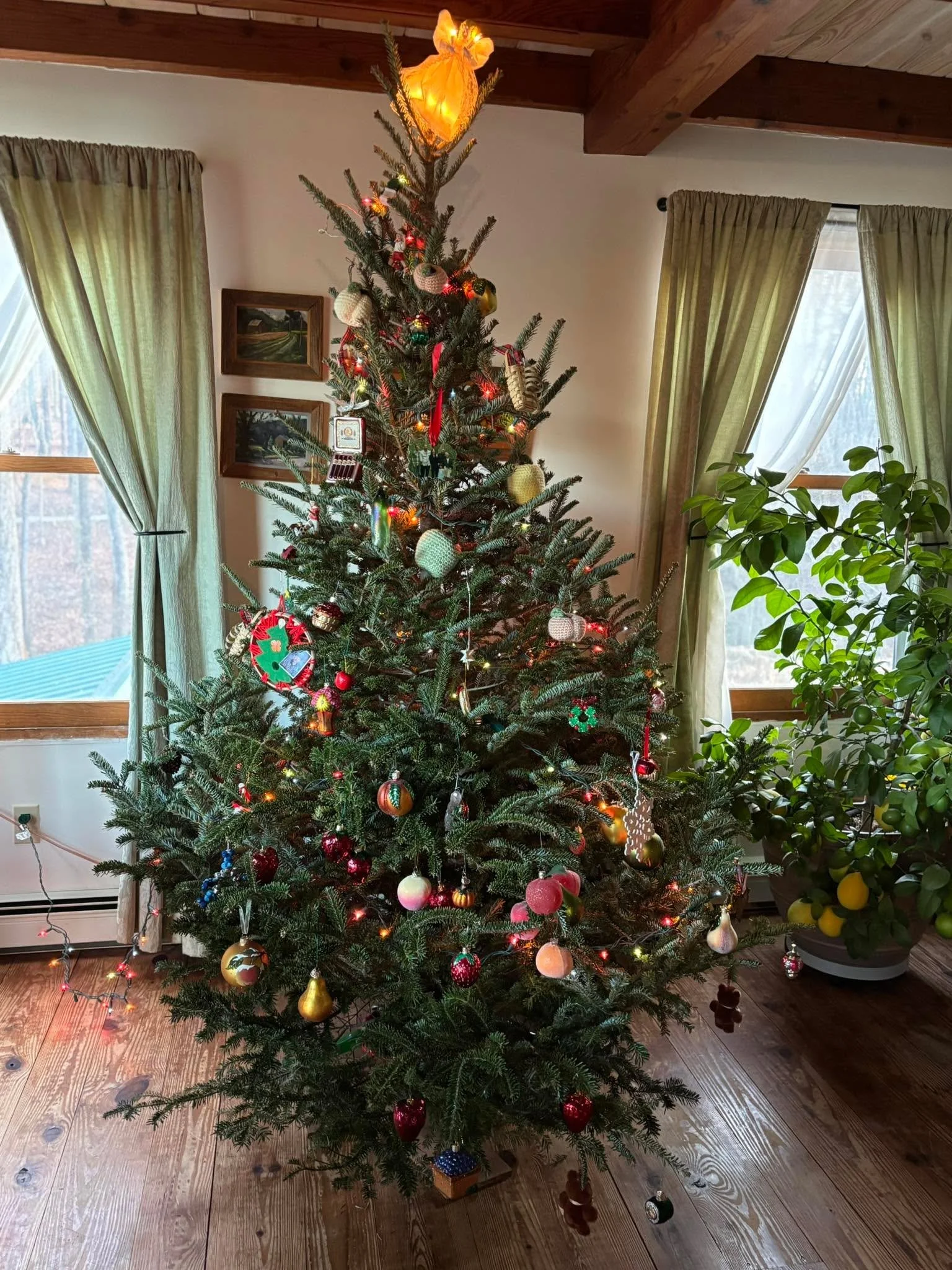 When your tree is decorated by your 4 yr old granddaughter&hellip;. There&rsquo;s a bounty of ornaments at waist height! So perfect😍