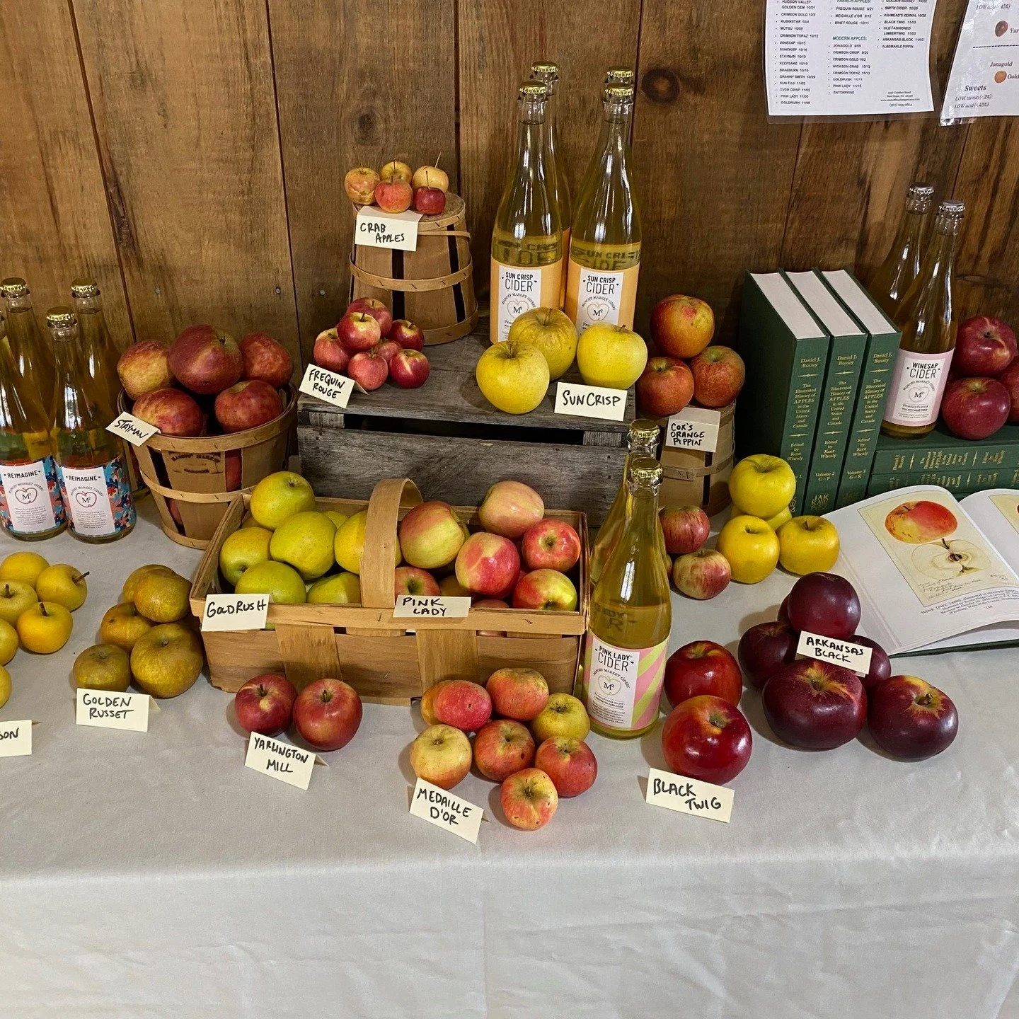 Our next workshop is an Apple &amp; Cider tasting, Saturday 1/24 2:30-4:30pm. We will be learning about and sampling an array of cider-specific apples, and will compare them to their corresponding ferments. Educational, interactive, and much tasting 
