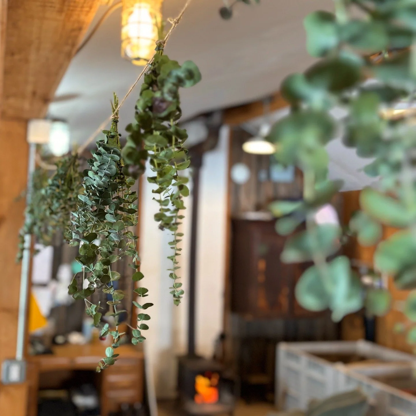 Wassail with us this Saturday! Bring your family &amp; friends and help us bring good luck to our trees for the coming year. Hot cider will abound, and the woodstoves will keep you nice and warm inside as you peruse our local artisan market - a snowy