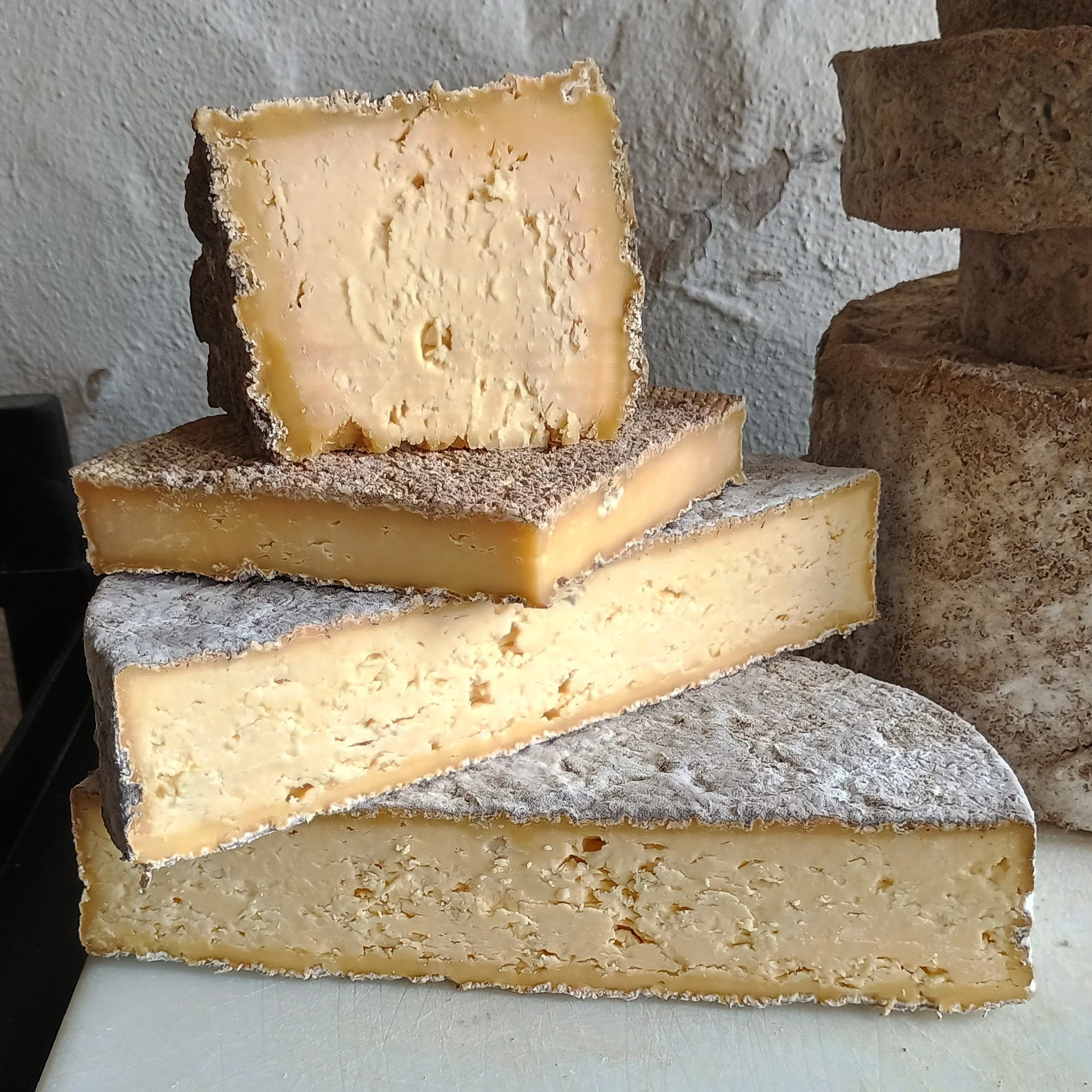 Bobolink Cheese Pop-Up 