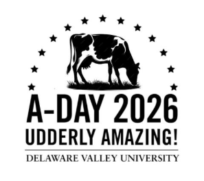 Manoff Cidery at A-Day