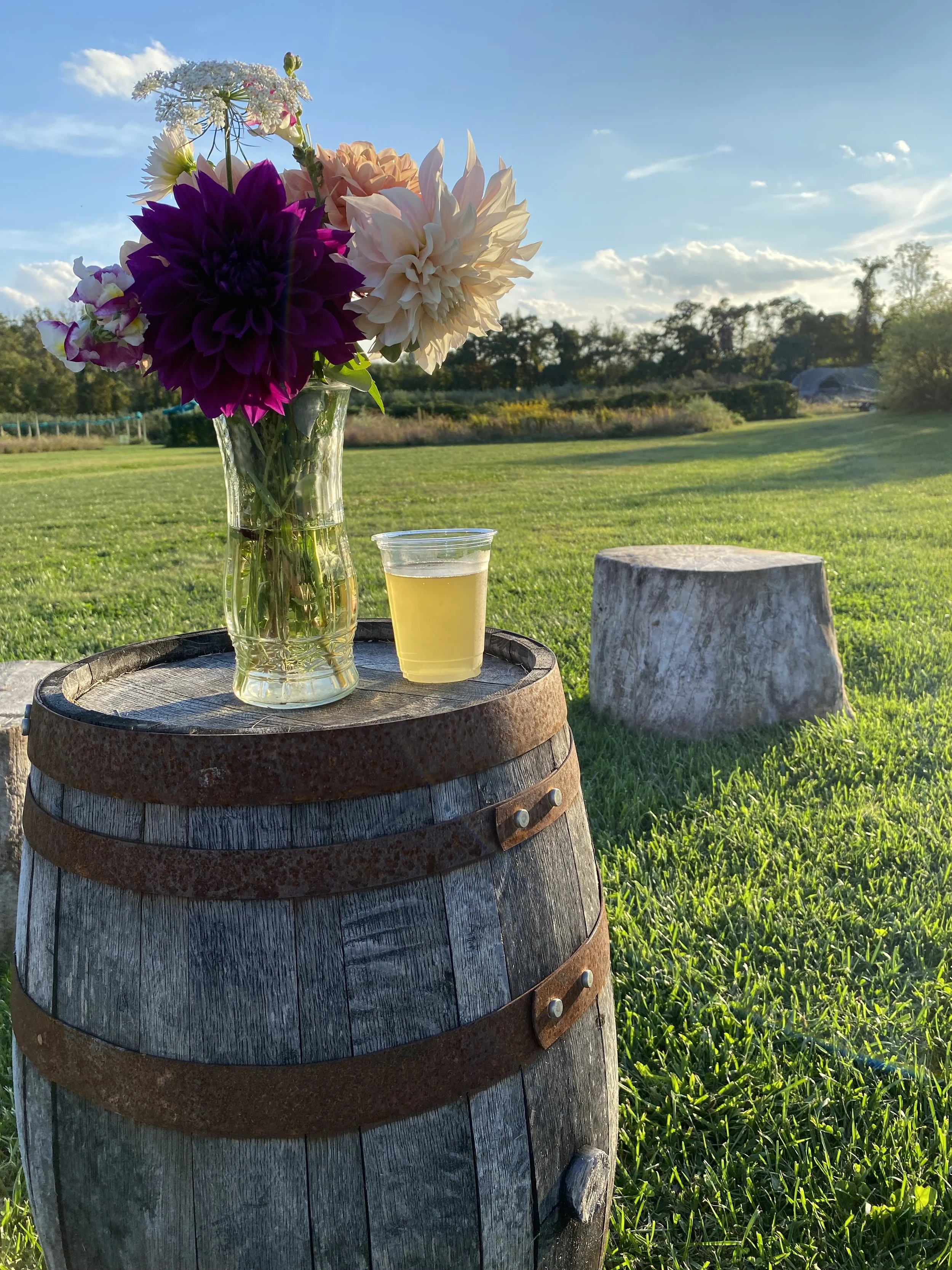 Happy Hours in the Cidery