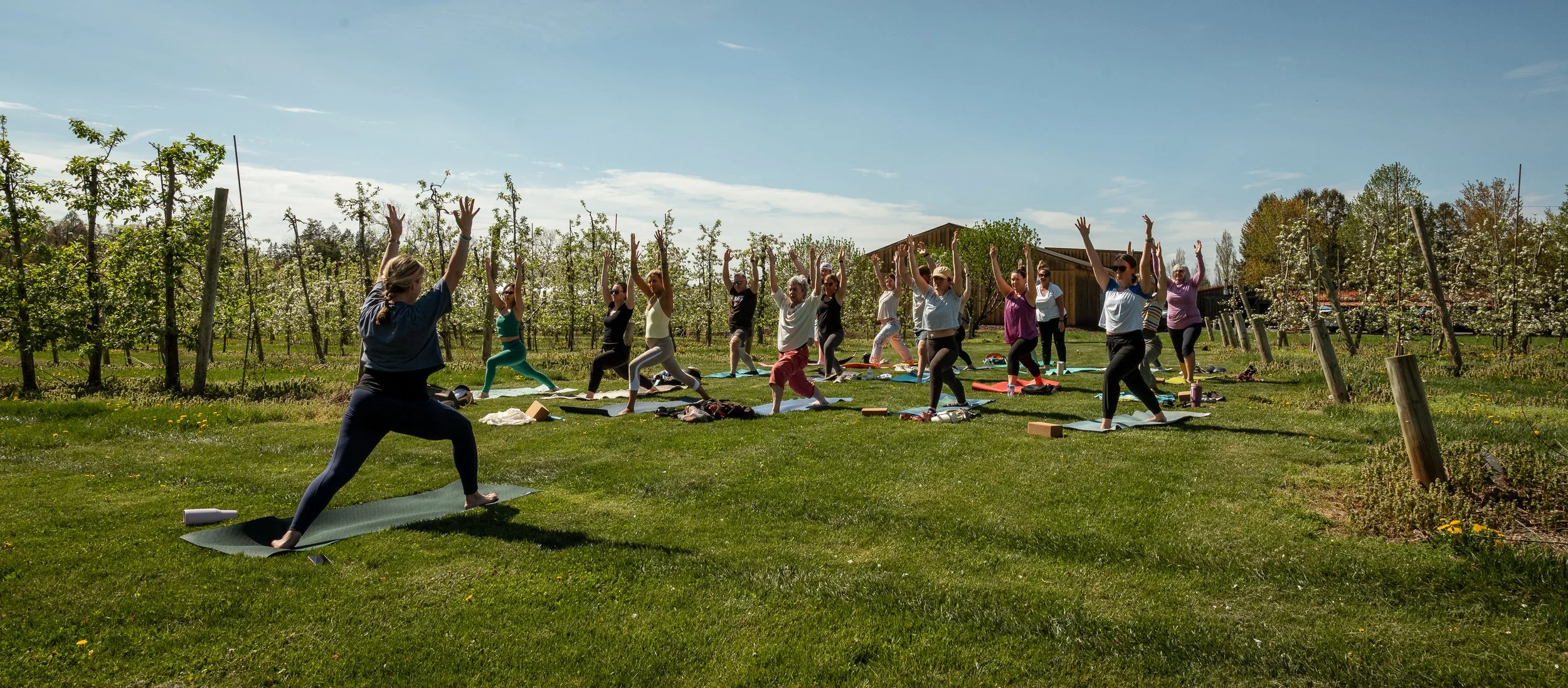 Sip &amp; Stretch Yoga w/Jeni (please register)