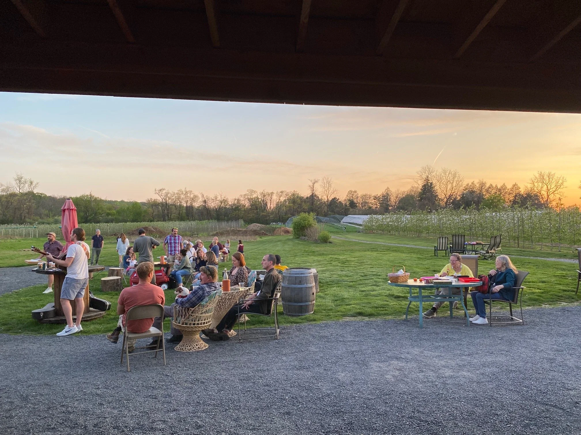 Happy Hours in the Cidery