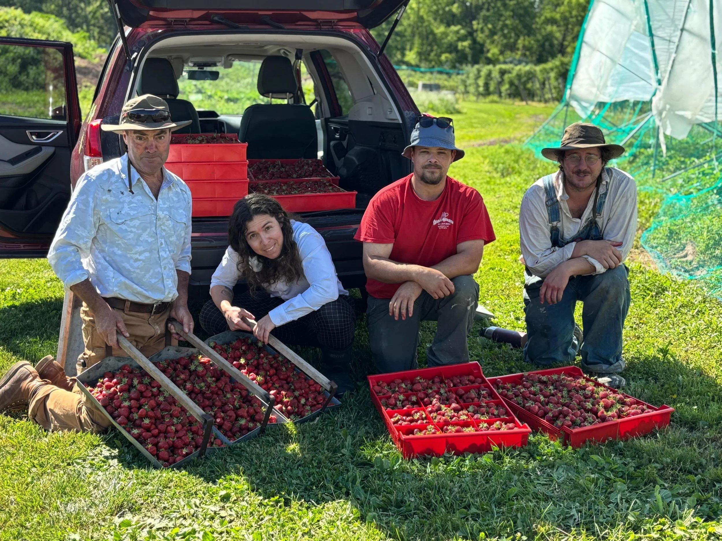 The faces behind the fruit 🍓

More berries for our strawberry rhubarb cider😋

#cider #buckscounty #local #strawberry
