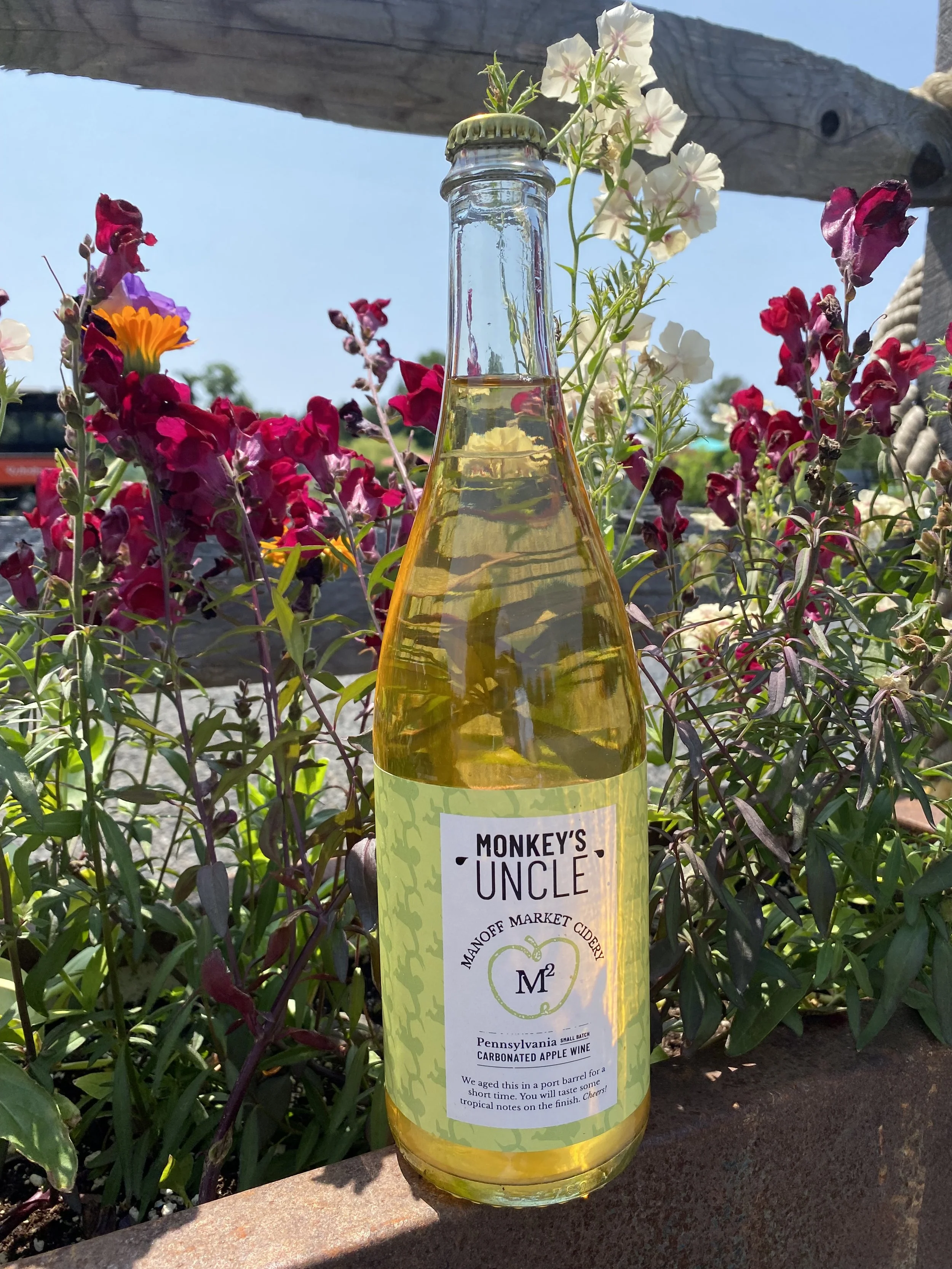 Summer Cider Sundays