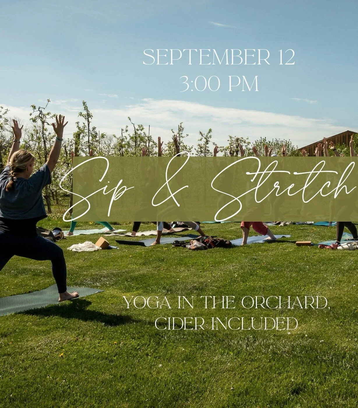 Saturday, September 12th treat yourself to an afternoon of self-care. 

Instructor Jeni will lead a gentle yoga session in our scenic orchard, with a glass of hard cider included. 

Bring friends or take some time just for you 🥰🥂register on our eve