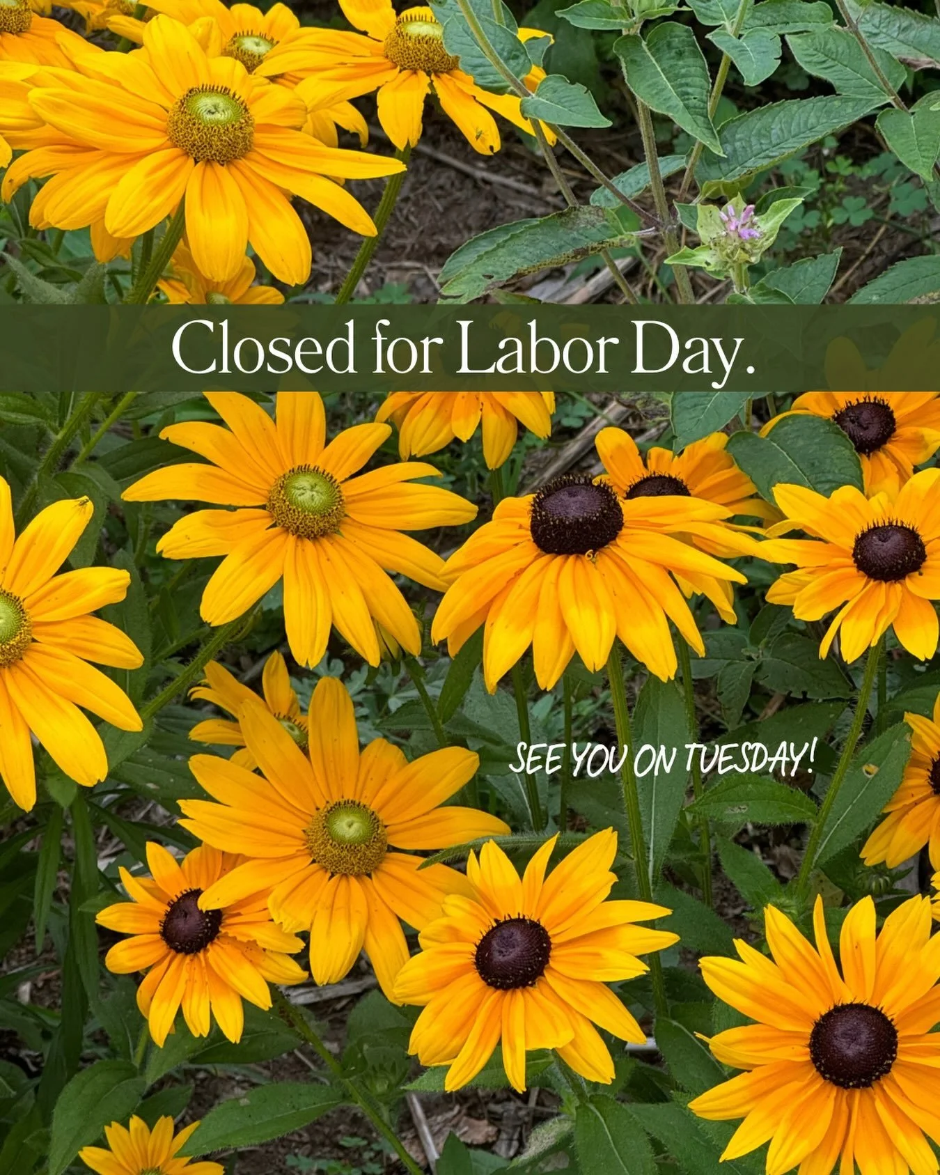 We will be closed tomorrow 9/7 for Labor Day. Thanks for a great weekend, we&rsquo;ll see you on Tuesday!