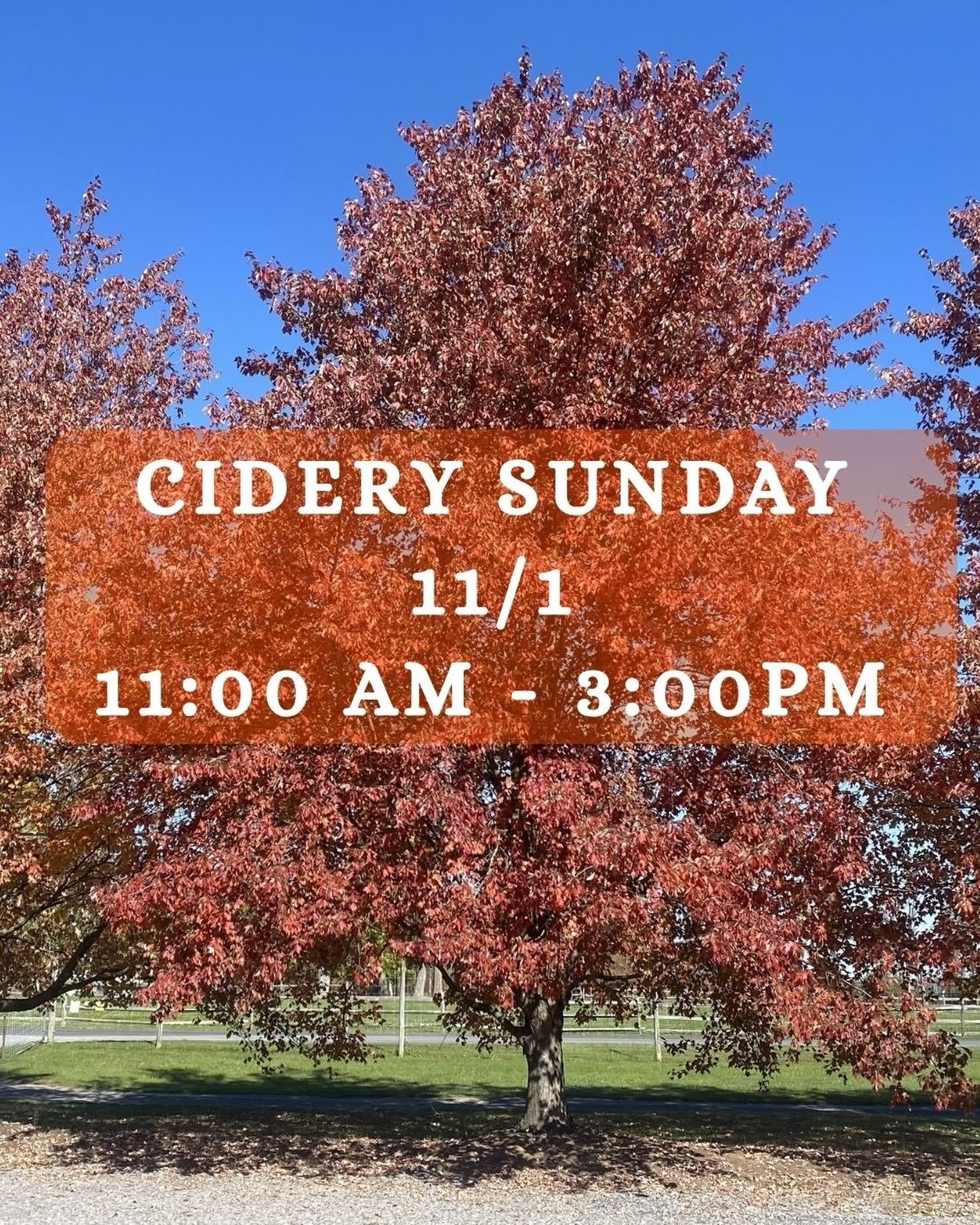 Another beautiful fall weekend calls for another Sunday Cidery pop-up 🍁! Hot toddies, full bottle selection, lawn games, and fire pits.  Pack a picnic and make it a day 🥂 #ciderysunday #pacider #siplocal #meetatmanoffs