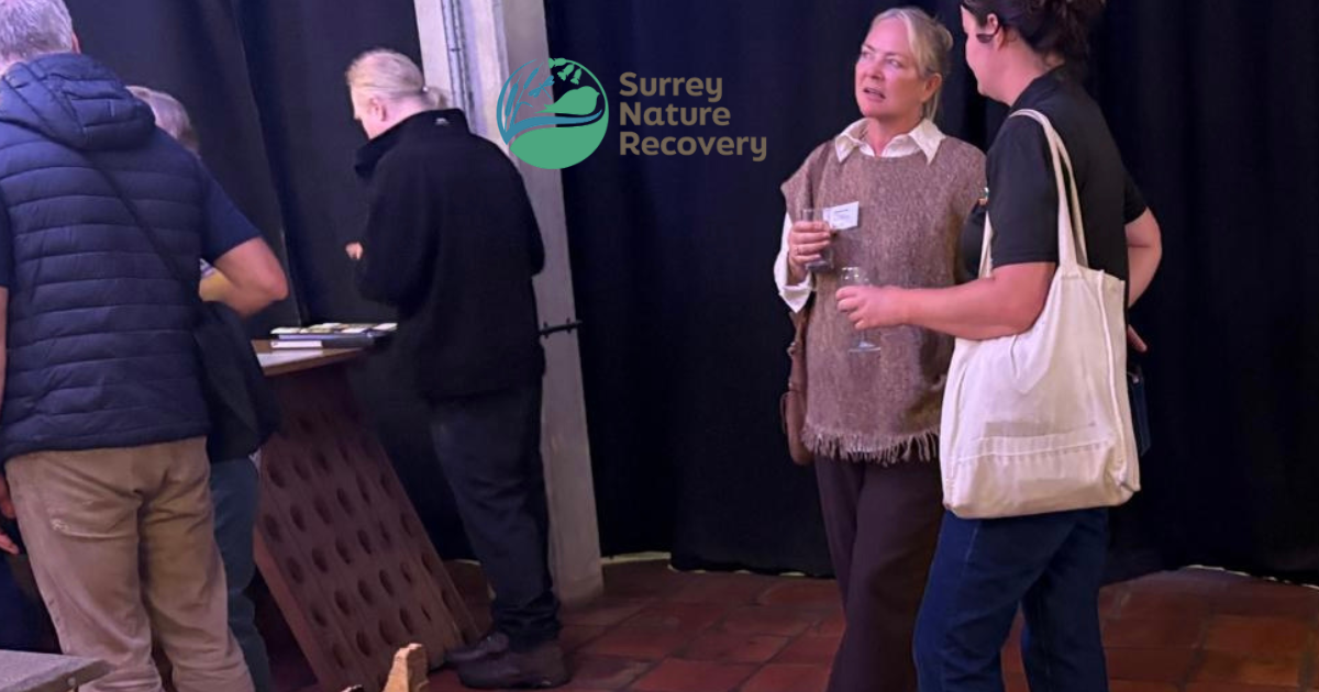 Charity Buddy Attends the Launch of Surrey's Local Nature Recovery Strategy