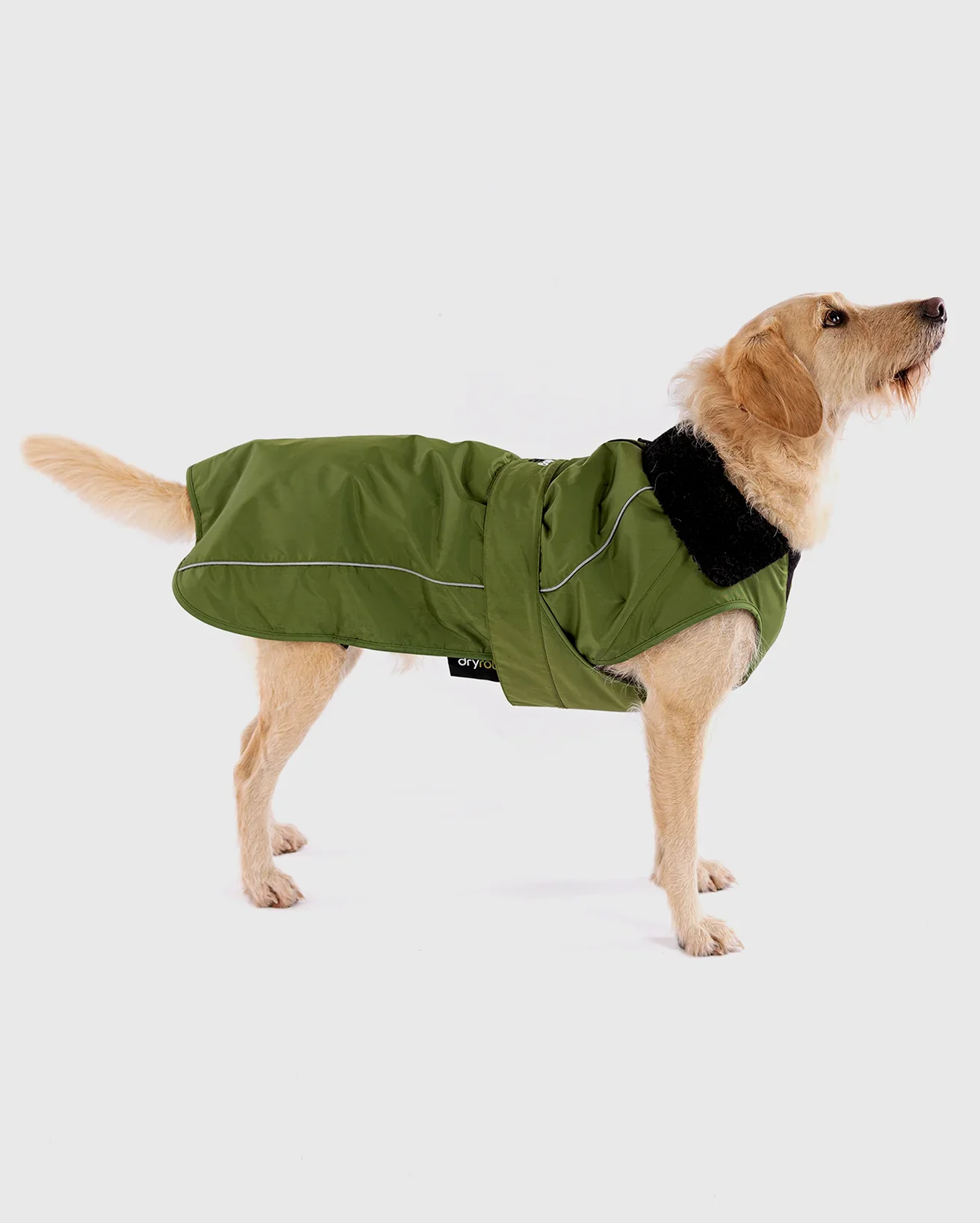 dog-robe-forest-green-1.webp