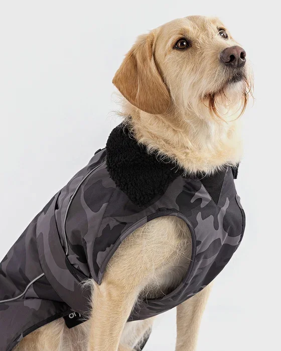 dog-robe-black-camo-4.webp