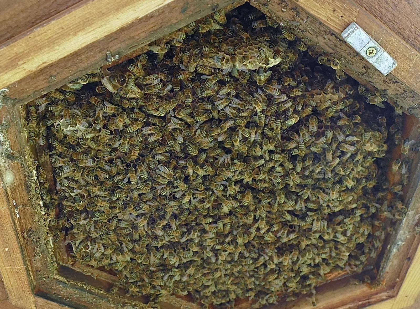 2024-07-11 17.24.27.jpg