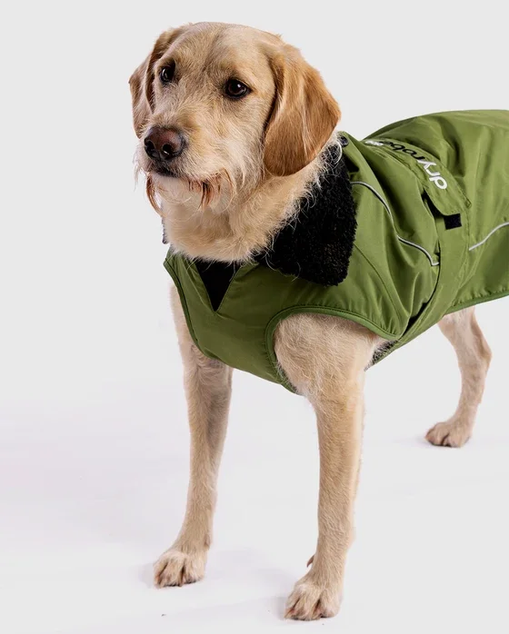 dog-robe-forest-green-2.webp