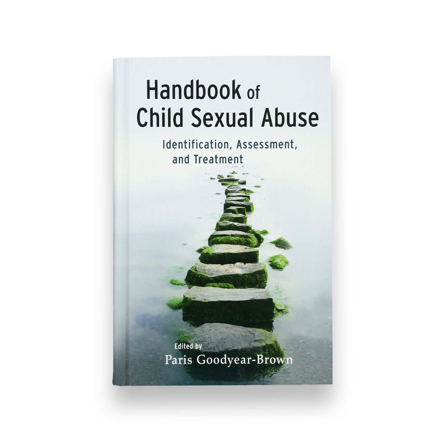 TraumaPlayShop_BookMockUp_HandbookofChildSexualAbuse.jpg