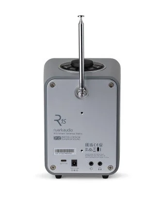 2023-01-23_New_R1S-Back.jpg