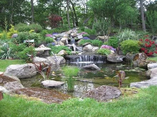 Summer Aquatic Trends: How Custom Water Features Are Elevating Outdoor Living Spaces in June 2026