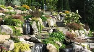 Creating the Ultimate Backyard Oasis: Why Custom Water Features Are a Top Summer Trend