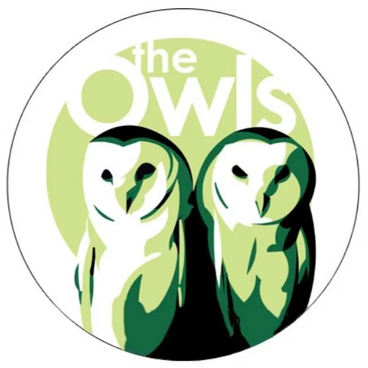 The Owls button for Magic Marker Records.