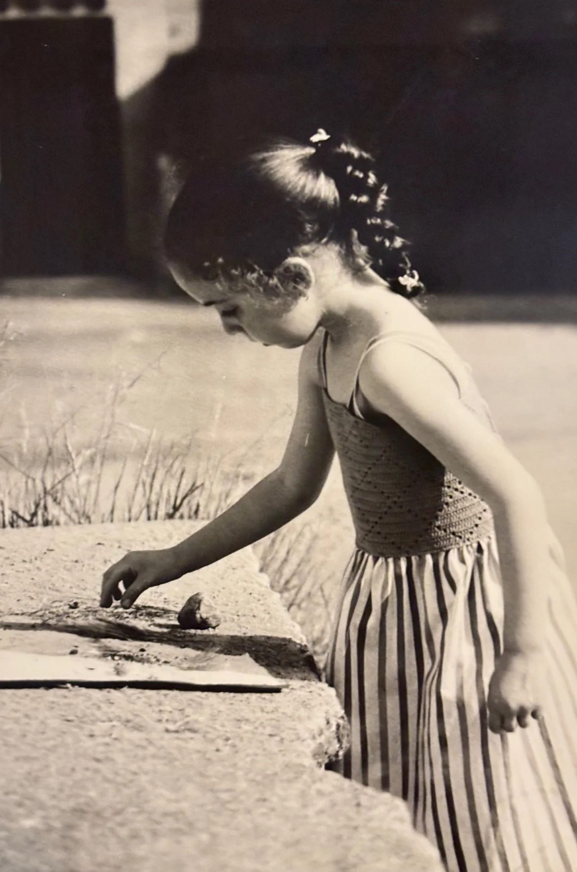 Nature Artist