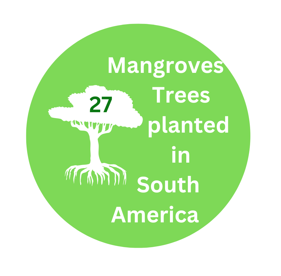 Judit Prieto Mangroves Planted in South America