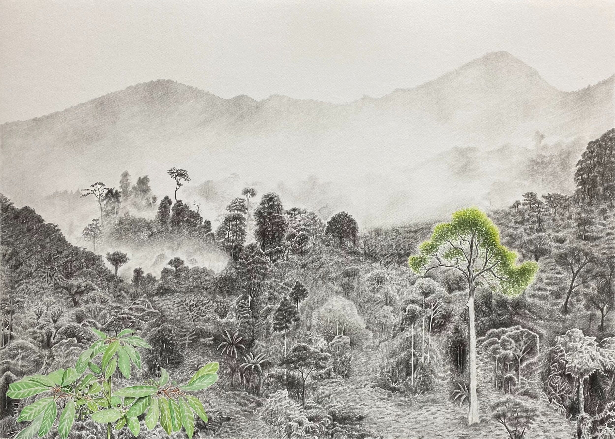 Judit Prieto