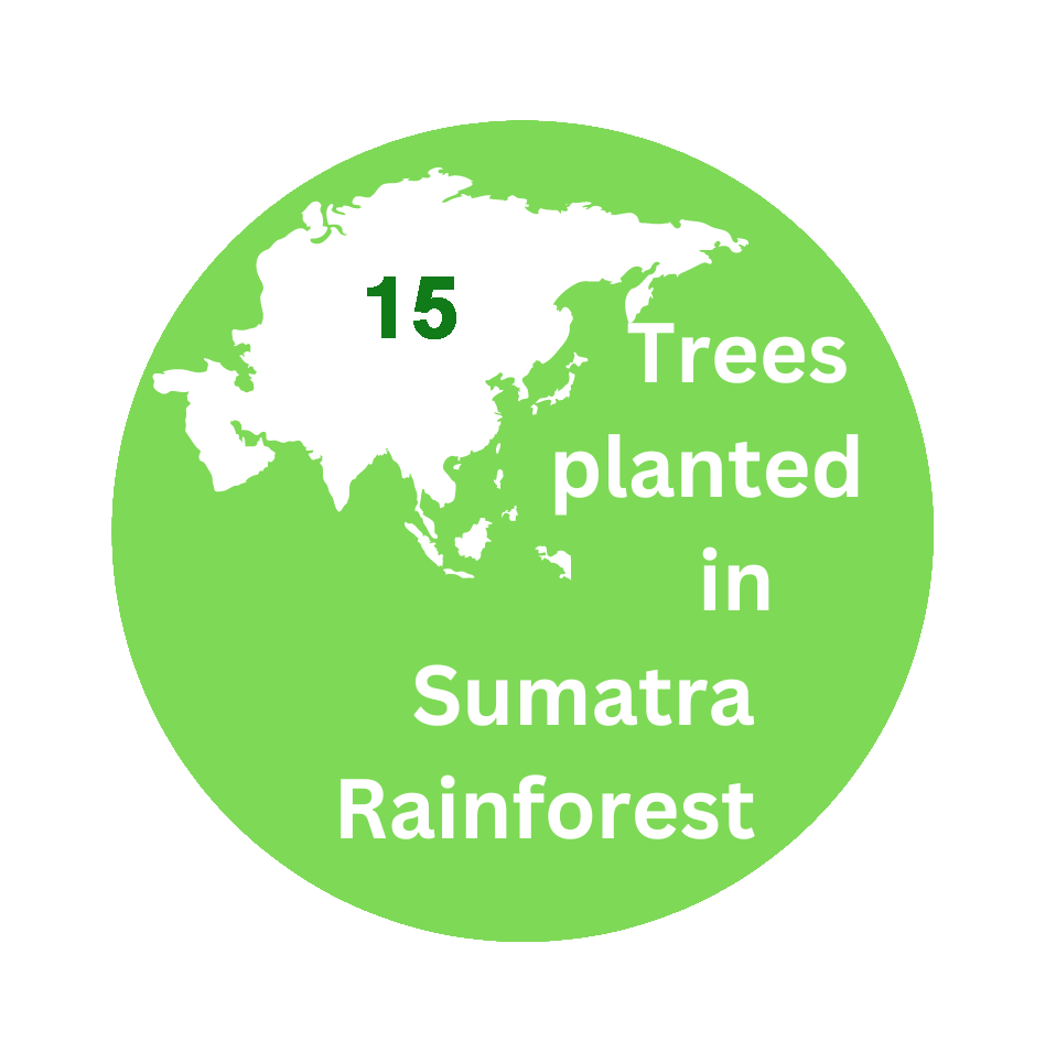 Judit Prieto Sumatra planted Tress