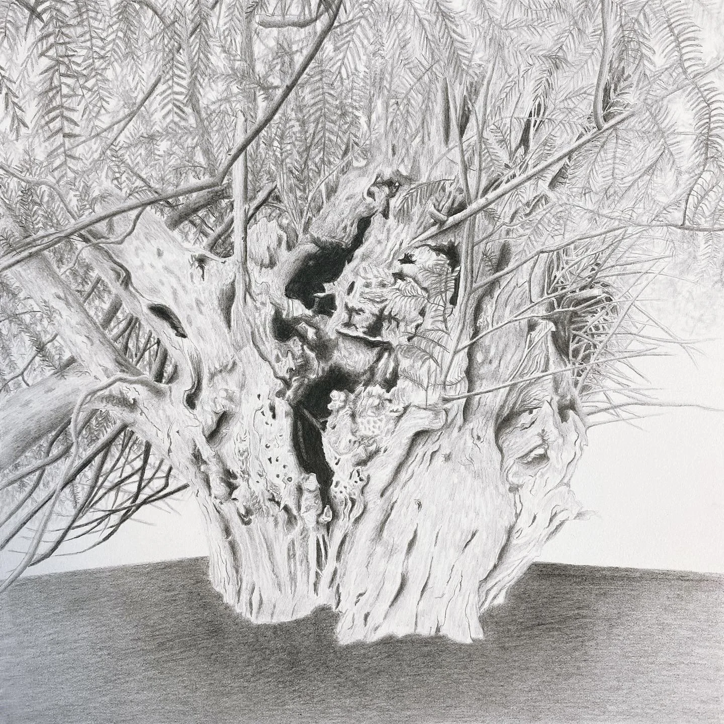 Judit Prieto