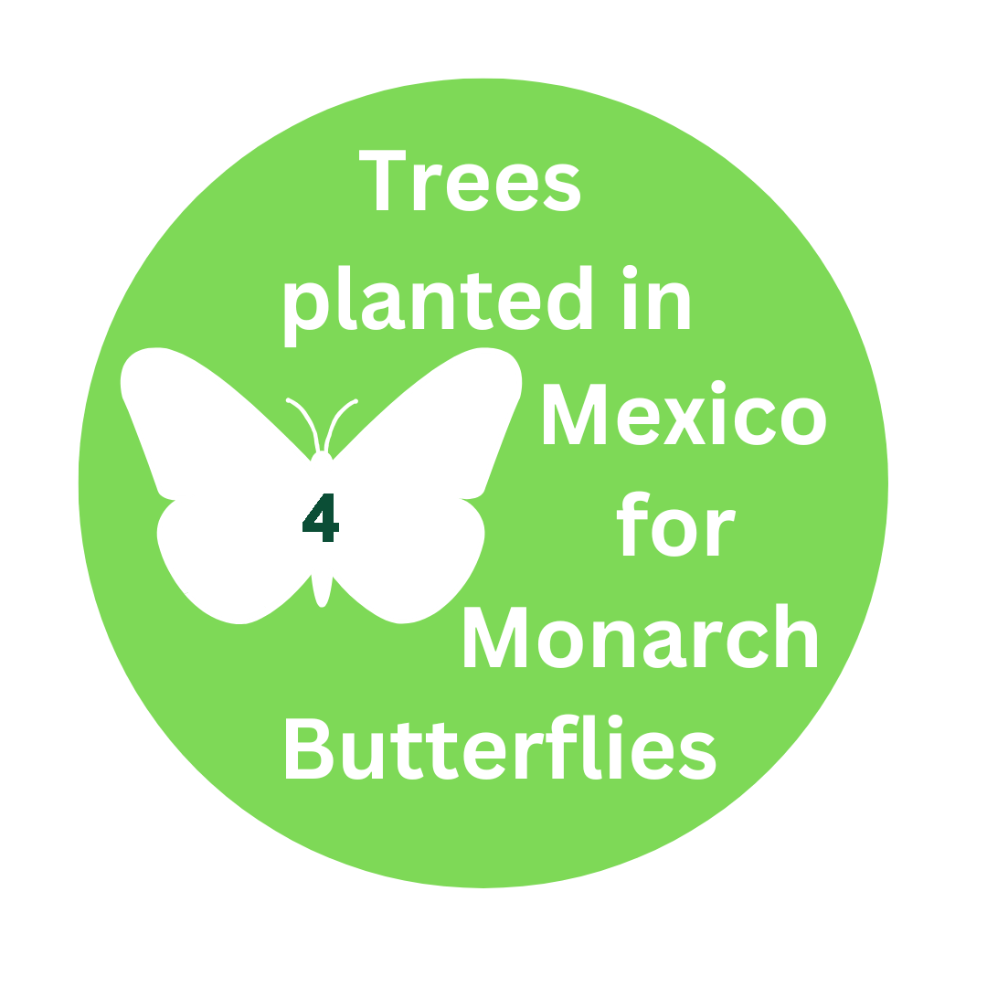 Judit Prieto trees planted for Monach Butterflies
