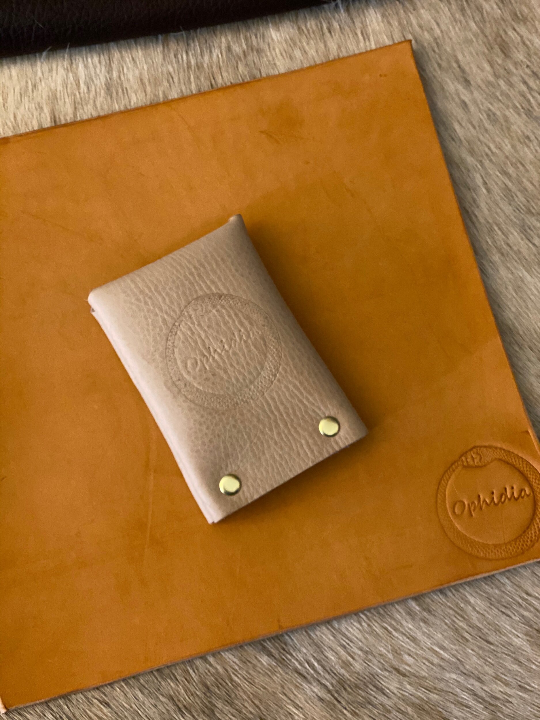 C490A803-F4D4-44CA-815E-521E68FFE04F