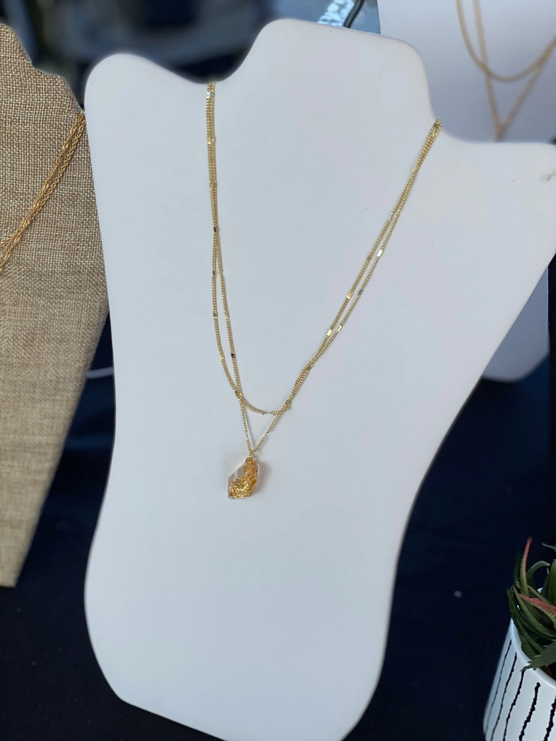 C6A2F828-EDDF-445A-A811-A5D3A48D56E5