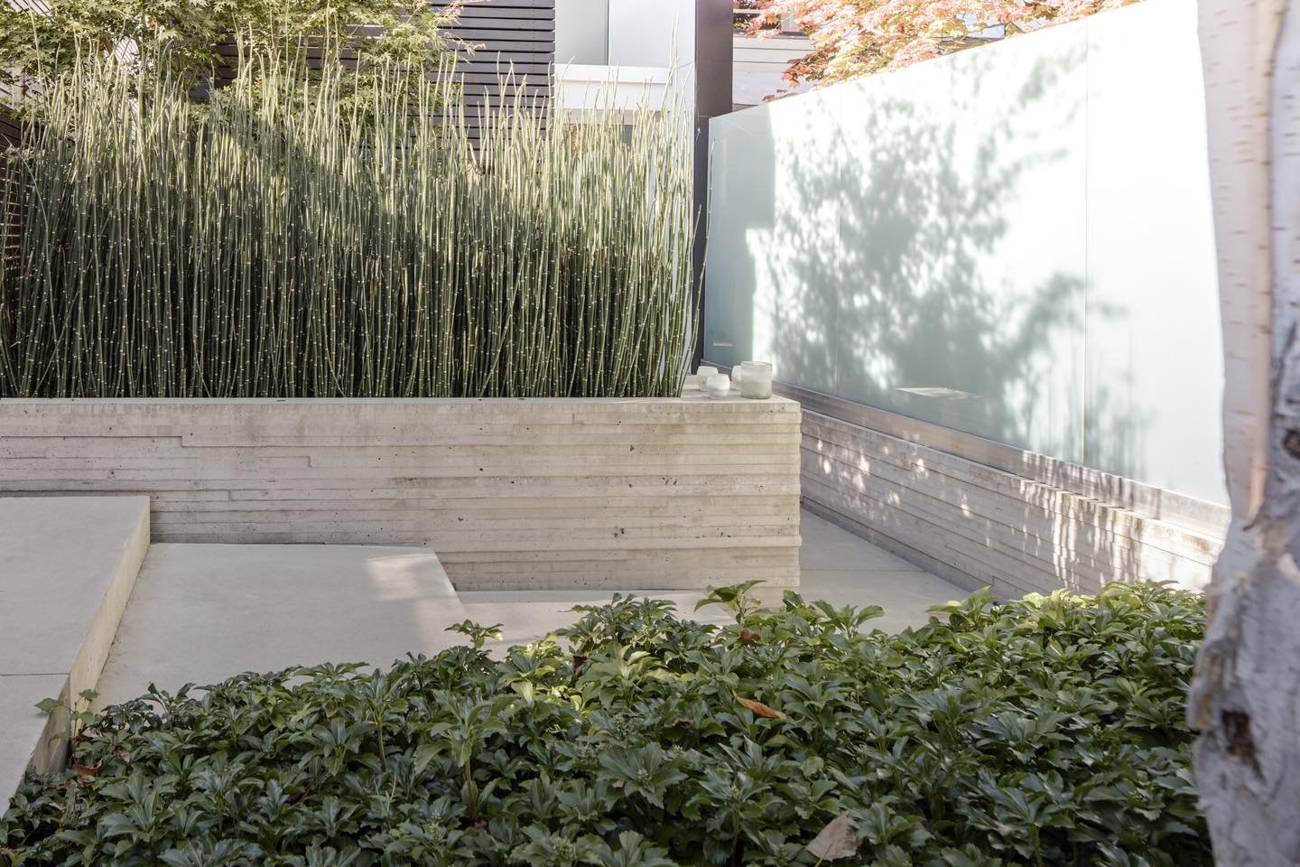 Our custom concrete work that adds structure while enhancing the natural elements.